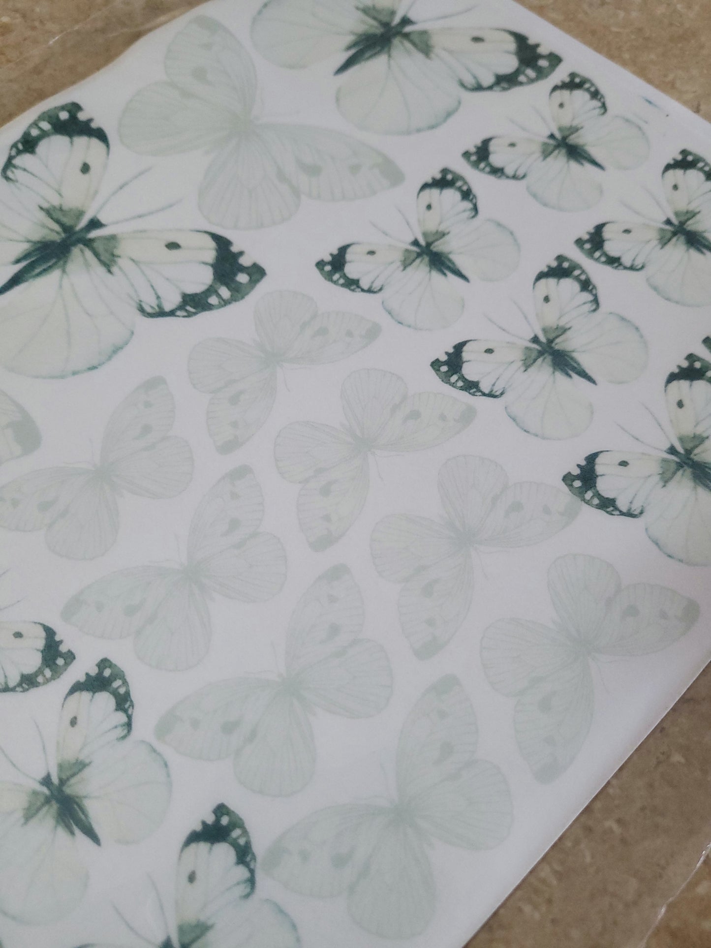 Wafer Paper Butterflies A4 Sheet - White
