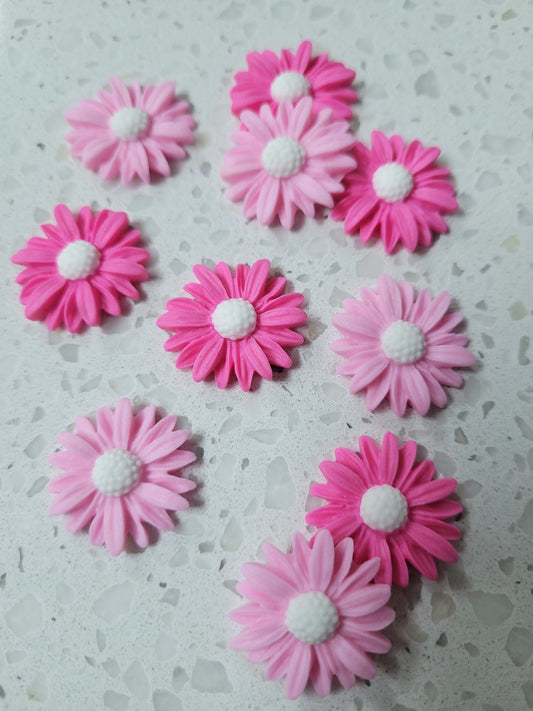 Daisy - Light Pink & Pink 10pcs Edible Cake Decorations