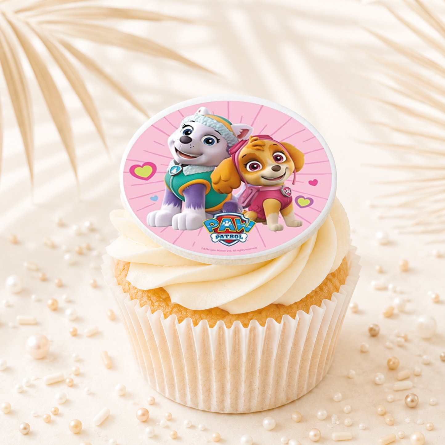 Paw Patrol 07 Cupcake Topper Edible Cake Decorations